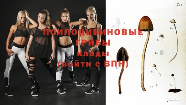 гидропоника Вяземский