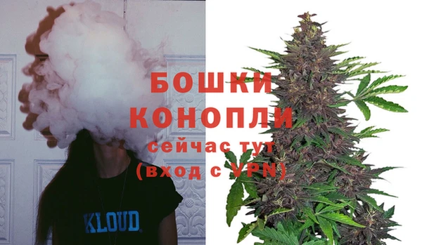 ALPHA PVP Вязьма