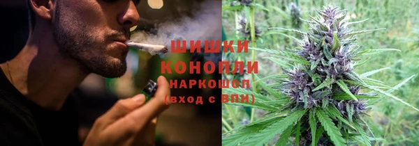 гидропоника Вяземский