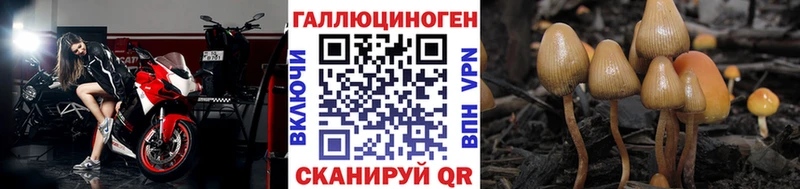 Псилоцибиновые грибы Magic Shrooms  Купить  Орёл 